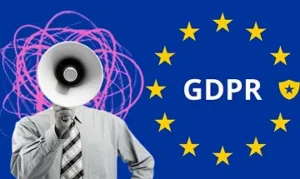 Data controller and processor according GDPR