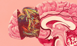 Before implementing AI agents what's happening inside their brain